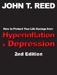 How to Protect Your Life Savings from Hyperinflation & Depression, 2nd edition